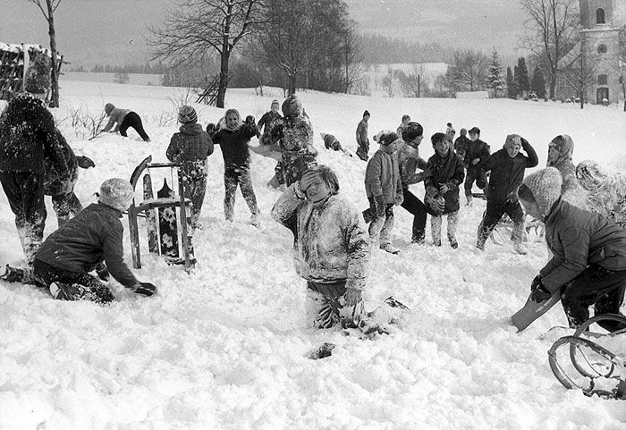 Lišáci, Myšáci a Šibeničák
