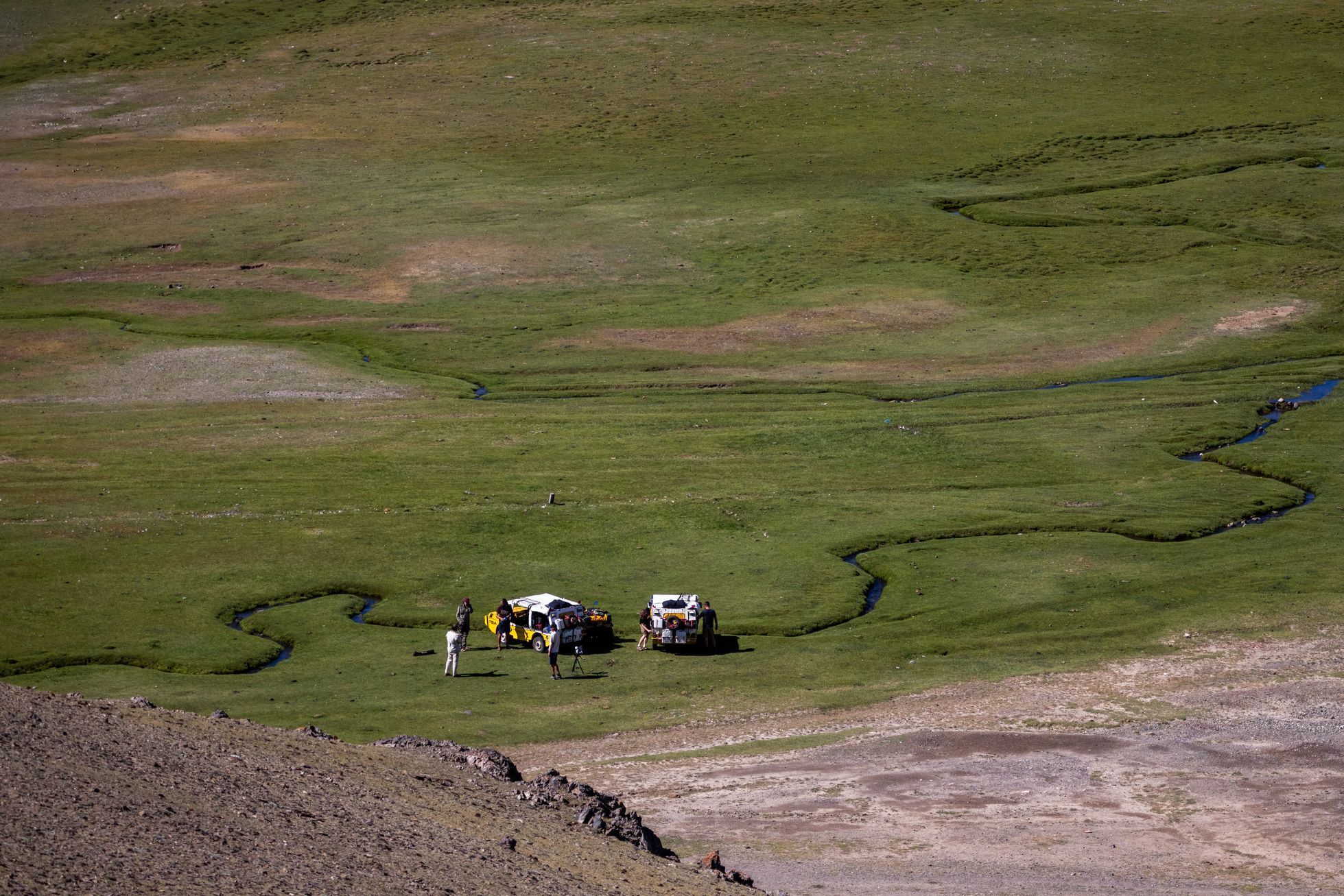 Dan Přibáň Žlutá žába