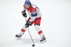 Švýcarsko bylo dobré rozhodnutí, hodnotí svůj odchod z NHL reprezentant Frolík