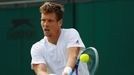 Wimbledon 2016: Tomáš Berdych