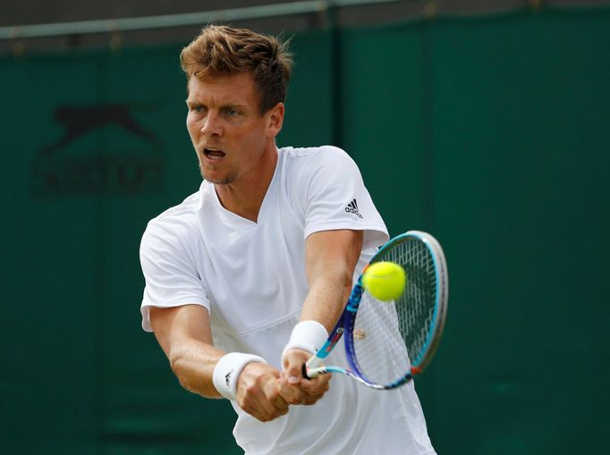 Wimbledon 2016: Tomáš Berdych