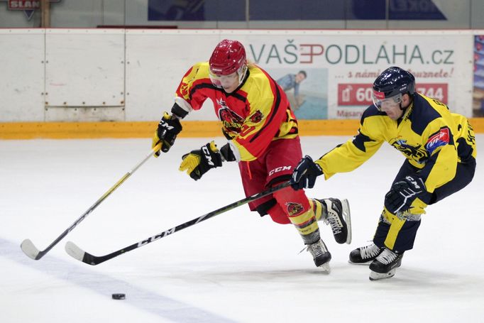 2. liga, China Golden Dragon - HC Kobra Praha, Slaný