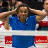 DC, Česko-Francie čtyřhra: Yannick Noah