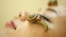 Snails crawl on the face of a woman during a demonstration of a new beauty treatment at Clinical-Salon Ci:z.Labo in central Tokyo July 17, 2013. Clinical-Salon Ci:z.Labo, which began the unique facial earlier this week, offers the 10,500 yen ($110) five-minute session with the snails as an optional add-on for customers who apply for a "Celeb Escargot Course", an hour-long treatment routine of massages and facials based on products made from snail slime that costs 24,150 yen. According to a beautician at the salon, the snail slime is believed to make one's skin supple as well as remove dry and scaly patches. Picture taken July 17, 2013. REUTERS/Issei Kato (JAPAN - Tags: SOCIETY TPX IMAGES OF THE DAY) Published: Čec. 18, 2013, 6:06 dop.