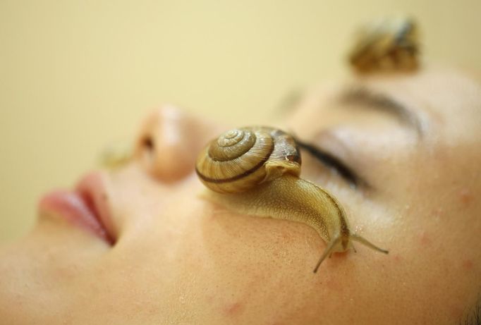 Snails crawl on the face of a woman during a demonstration of a new beauty treatment at Clinical-Salon Ci:z.Labo in central Tokyo July 17, 2013. Clinical-Salon Ci:z.Labo, which began the unique facial earlier this week, offers the 10,500 yen ($110) five-minute session with the snails as an optional add-on for customers who apply for a "Celeb Escargot Course", an hour-long treatment routine of massages and facials based on products made from snail slime that costs 24,150 yen. According to a beautician at the salon, the snail slime is believed to make one's skin supple as well as remove dry and scaly patches. Picture taken July 17, 2013. REUTERS/Issei Kato (JAPAN - Tags: SOCIETY TPX IMAGES OF THE DAY) Published: Čec. 18, 2013, 6:06 dop.