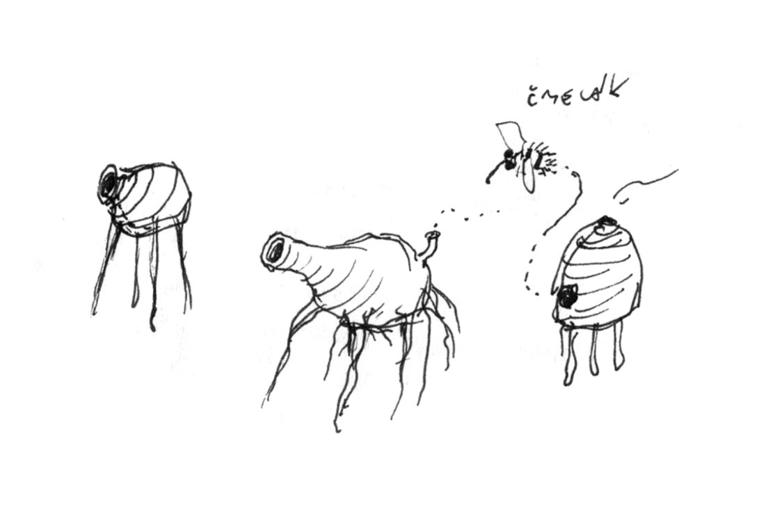 Amanita Design Samorost 3