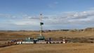 Cattle graze near a True Company oil drilling rig outside Watford, North Dakota, October 20, 2012. Thousands of people have flooded into North Dakota to work in state's oil drilling boom. Picture taken October 20, 2012. REUTERS/Jim Urquhart (UNITED STATES - Tags: ENERGY ENVIRONMENT ANIMALS BUSINESS EMPLOYMENT) Published: Říj. 22, 2012, 1:40 odp.