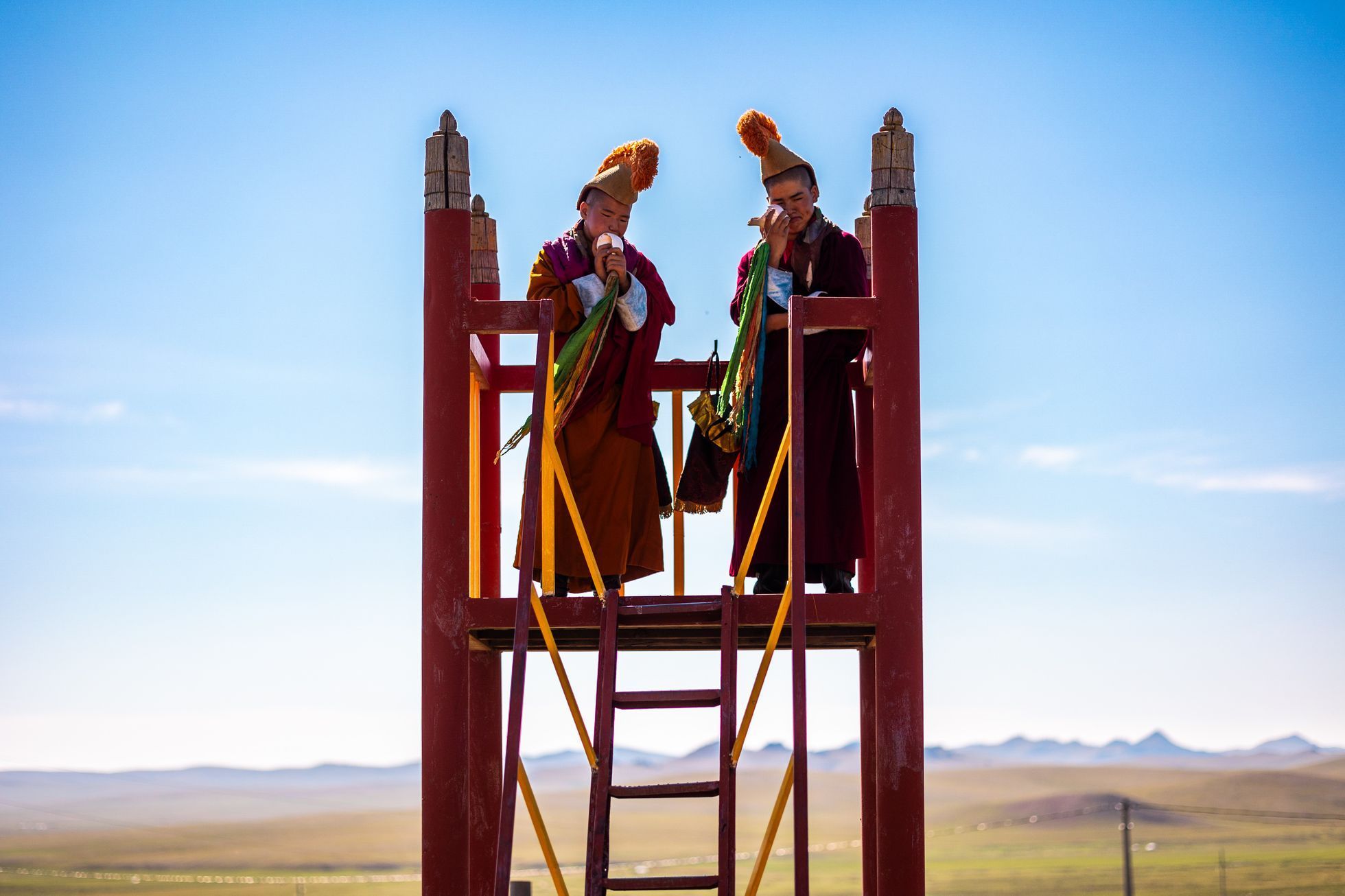 Žlutá žába Dan Přibáň