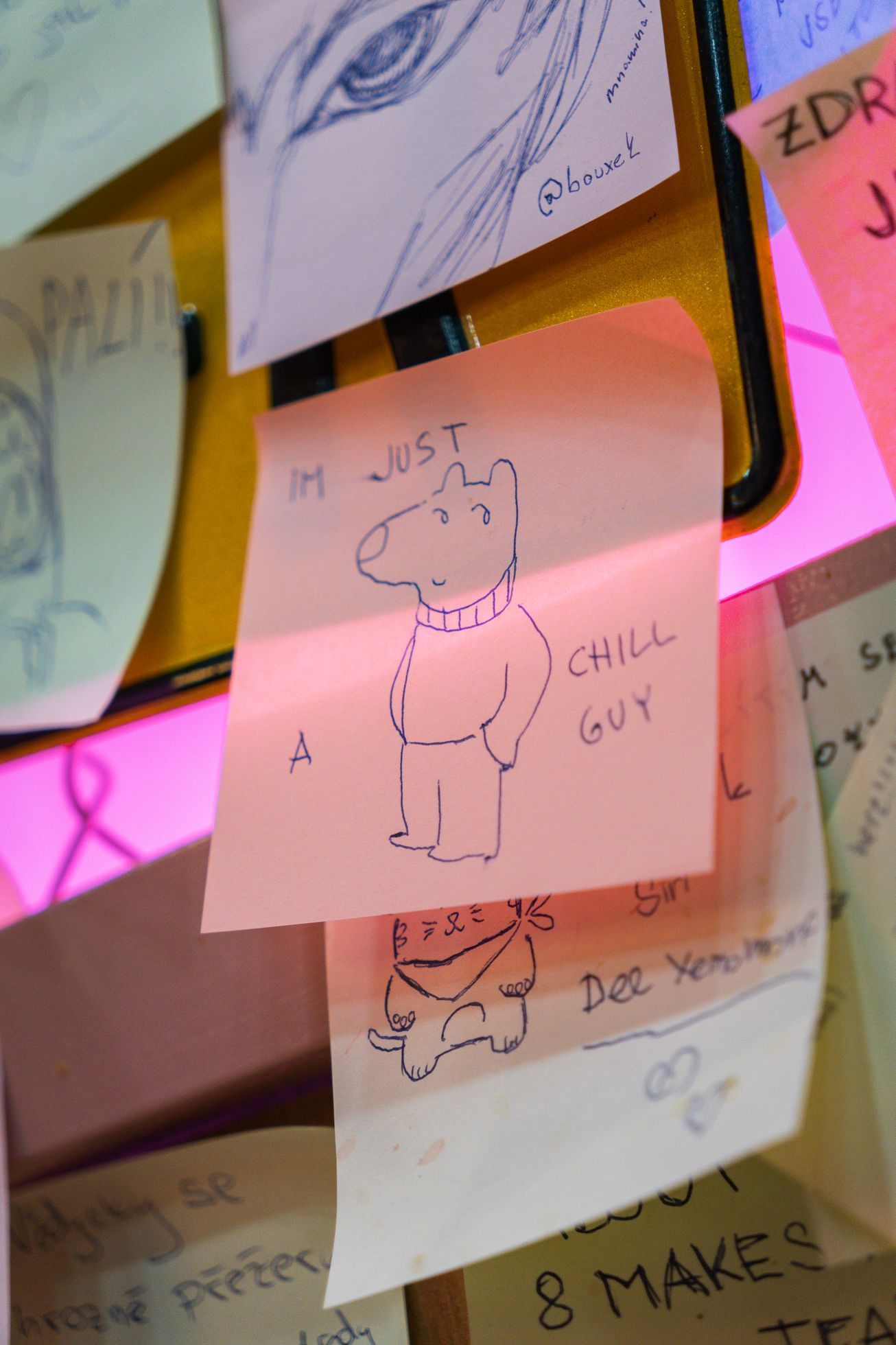 nudle, Brno, podnik, gastronomie, polévky, Asie, bistro