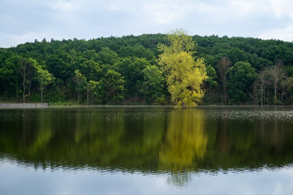 Lítožnice, parky