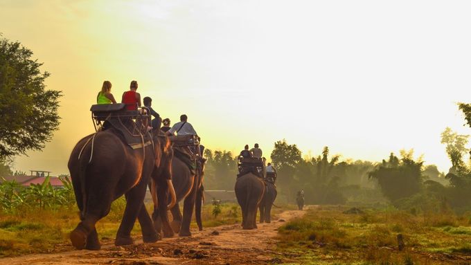 Jízda na slonech patří k nejkrutějším turistickým zábavám. Sloní páteř není přizpůsobená na nošení těžkých nákladů a každý pasažér je pro tato inteligentní zvířata velmi bolestivý.