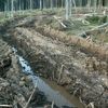 Koleje v Modravě v Národním parku Šumava