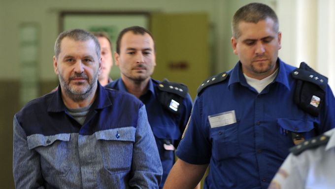 Žalobce podle soudu chyboval při propuštění Alexandra Nováka z vězení.