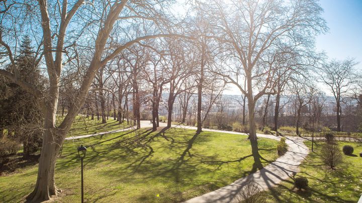 Teplotní rekord v Česku hlásí polovina stanic, v Praze bylo přes 25 stupňů