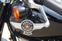 Harley-Davidson slaví výročí, prodeje v Česku rostou