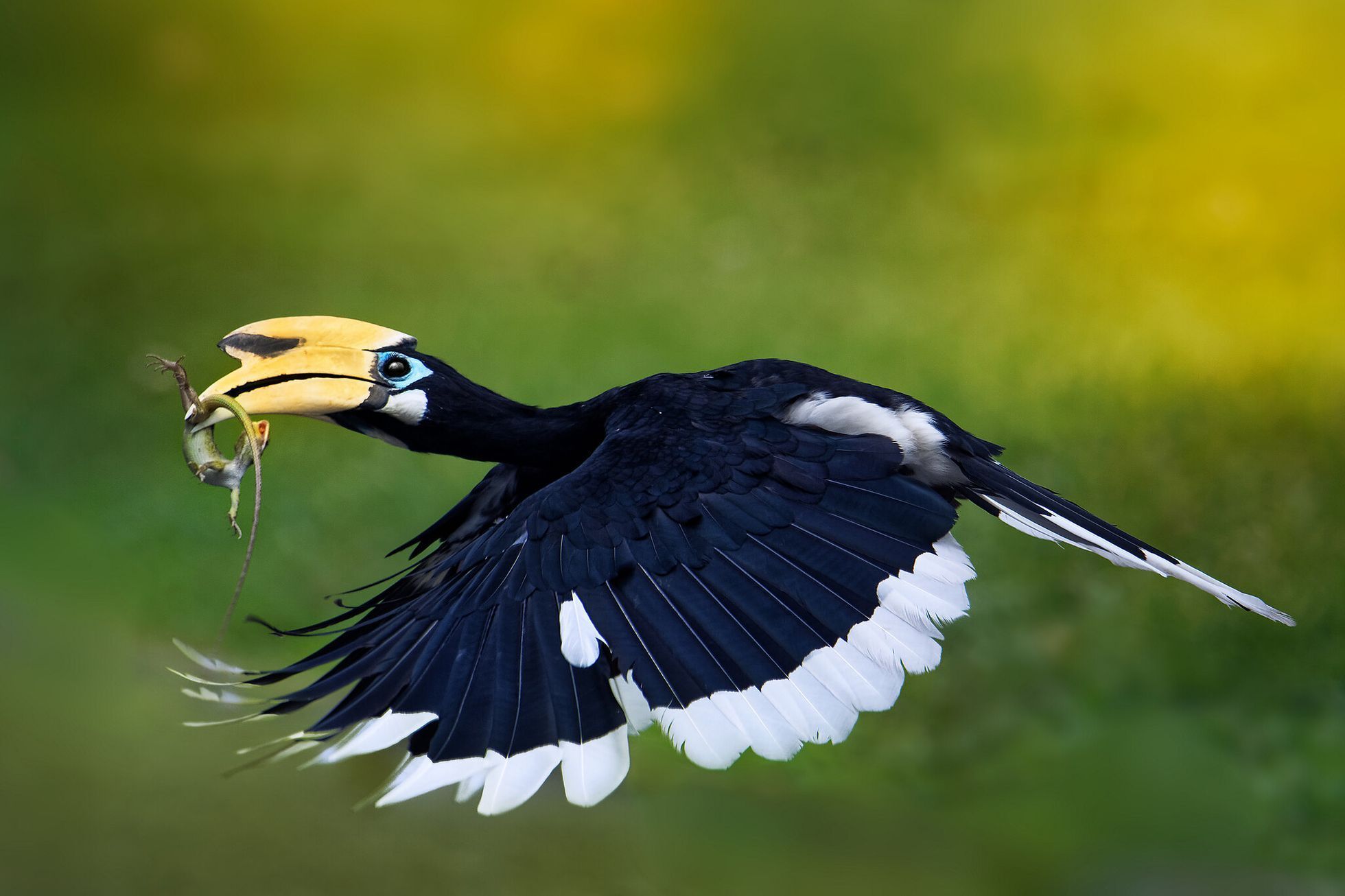 Nominace na Czech Nature Photo 2020