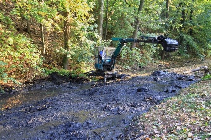 Revitalizace drobného vodního toku - náhonu - v parku Střelnice.