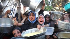 Palestina, Izrael, Gaza, OSN, WHO, pomoc, potraviny
