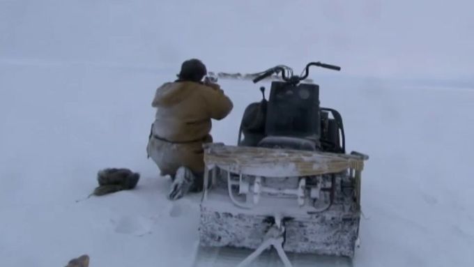 Ve filmu Medvědí ostrovy z roku 2010 sledoval Martin Ryšavý obyvatele rezervace ledních medvědů u Nižněkolymského okresu.