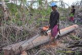 "Po katastrofě zůstalo ležet kolem milionu vyvrácených kokosových palem - místní lidé je za pomoci humanitárních organizací zpracovávají na stavební materiál."