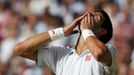 Novak Djokovič na Wimbledonu 2014