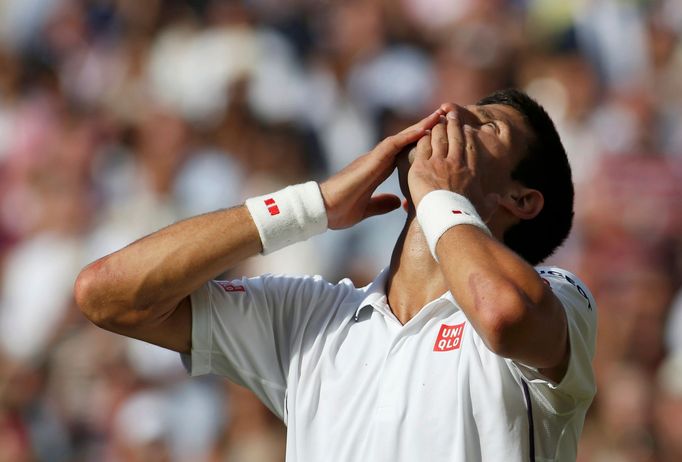 Novak Djokovič na Wimbledonu 2014