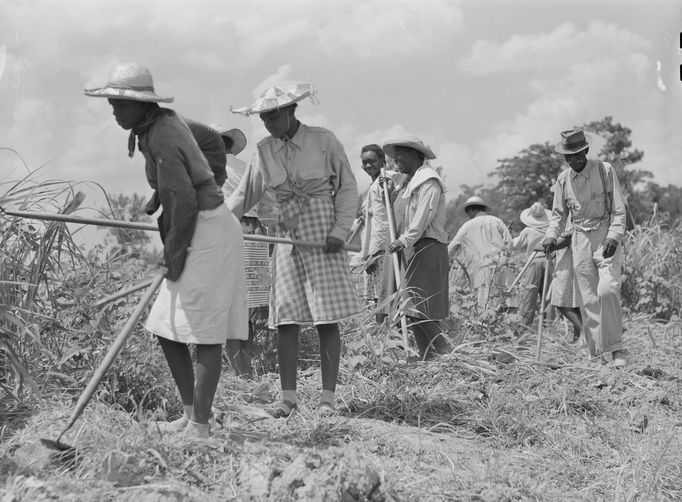 Černoši na plantáži v Mississippi, 1940.