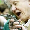 Jednorázové užití / Fotogalerie / Legendární britský přírodovědec David Attenborough slaví 95. narozeniny