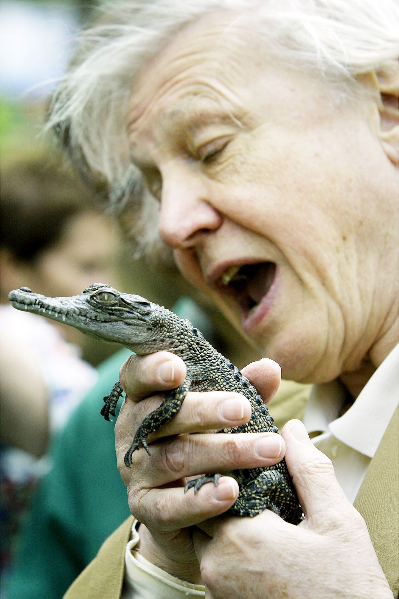 Jednorázové užití / Fotogalerie / Legendární britský přírodovědec David Attenborough slaví 95. narozeniny