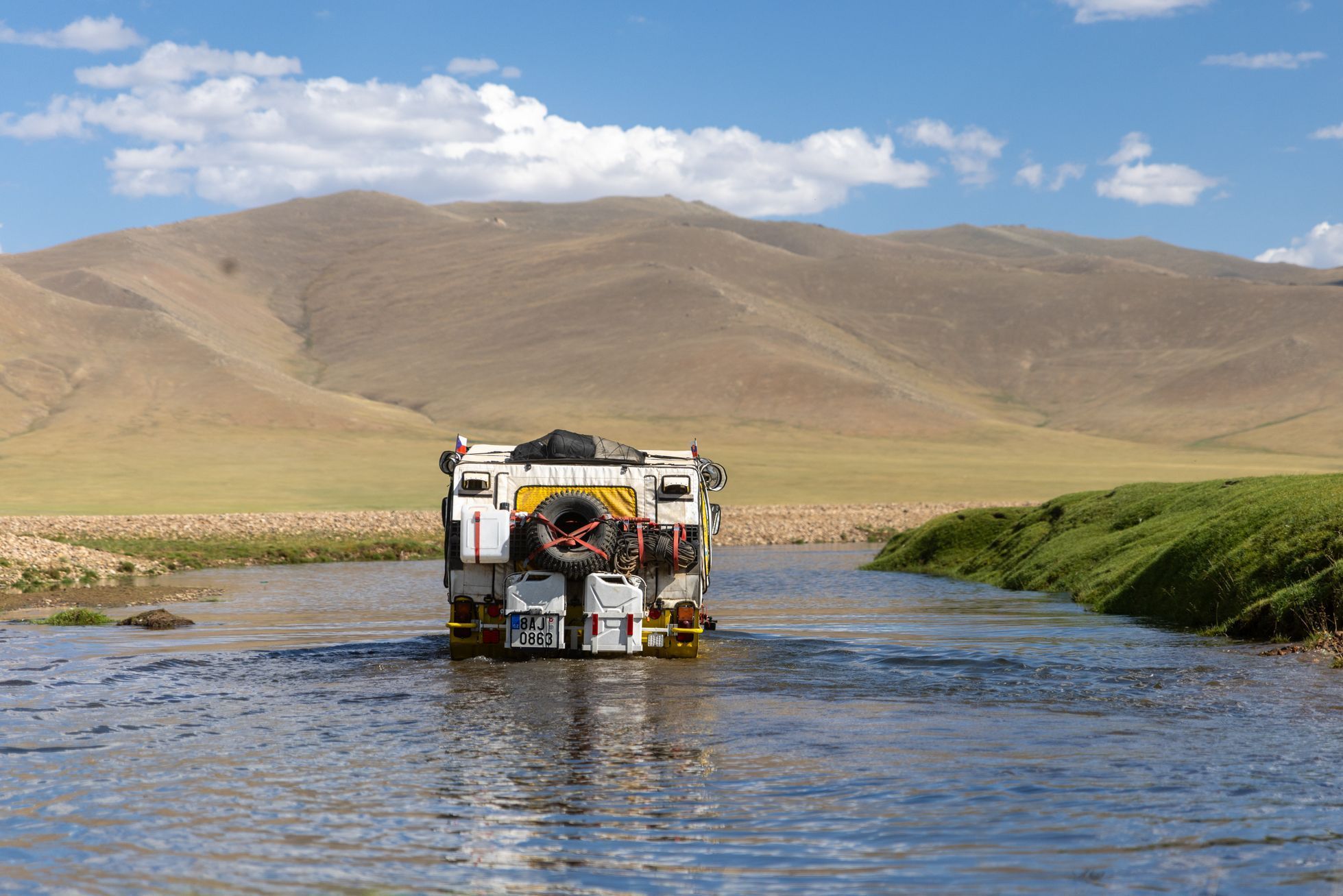 Žlutá žába pluje
