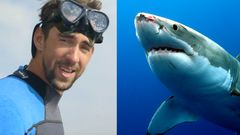 Michael Phelps a žralok bílý