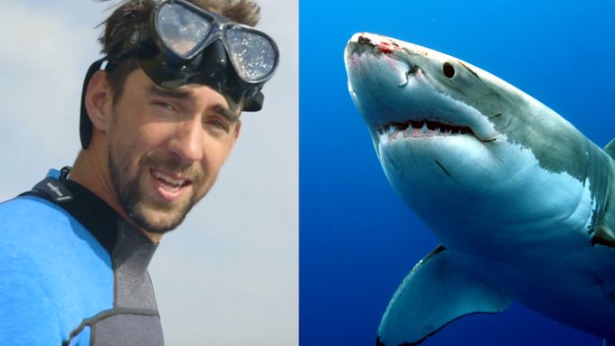 Podívejte se na souboj Michaela Phelpse se žralokem bílým