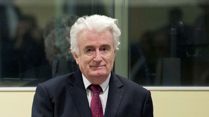 Karadžič požádá o revizi rozsudku, kterým dostal doživotí za genocidu