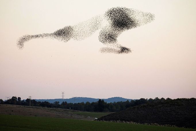 Podívejte se na nejkrásnější fotografie krajin za rok 2020, které nafotili fotoreportéři agentury Reuters