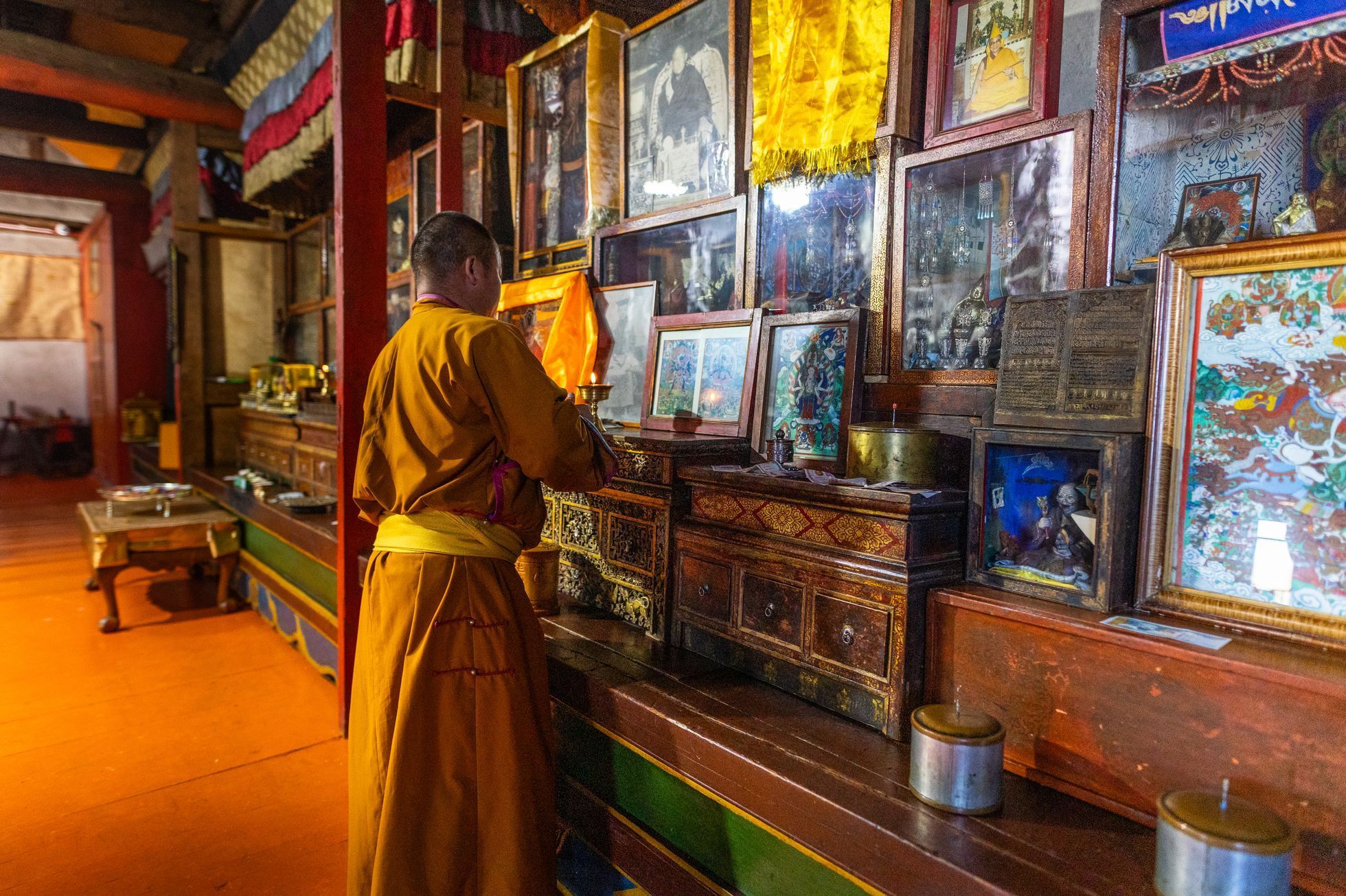 Žlutá žába Dan Přibáň