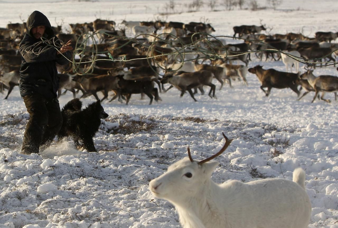 Něnci - jak žije malá etnická skupina v Rusku