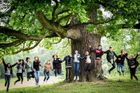 Nejhezčí stromy Česka: Masarykova lípa i zapomenutá vrba