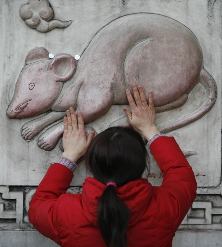 Oslavy roku Krysy v Číně