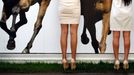 Fanynky dostihů u zábran během Ladies Day, třetího dne královských dostihů v Ascotu v jižní Anglii, 26. června 2011. REUTERS/Eddie Keogh