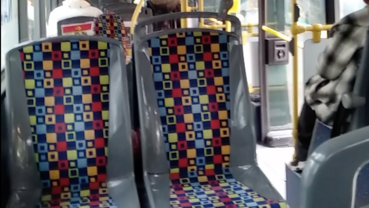 Video: Řidič trolejbusu v Hradci zbil a vyhodil dívku z vozu, neměla drobné na lístek