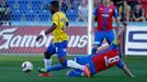 Pohár, Plzeň-Teplice: David Limberský - Franci Litsingi