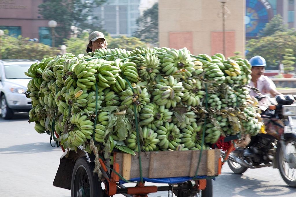 Ne pro články! Fotogalerie: Přetížení navzdory. Tak se v dopravě riskuje s nadměrnýn nákladem. / Vietnam