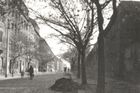 Jeseniova ulice v roce 1955.