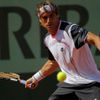 Španěl David Ferrer vrací míček Lukáši Lackovi ze Slovenska během French Open 2012