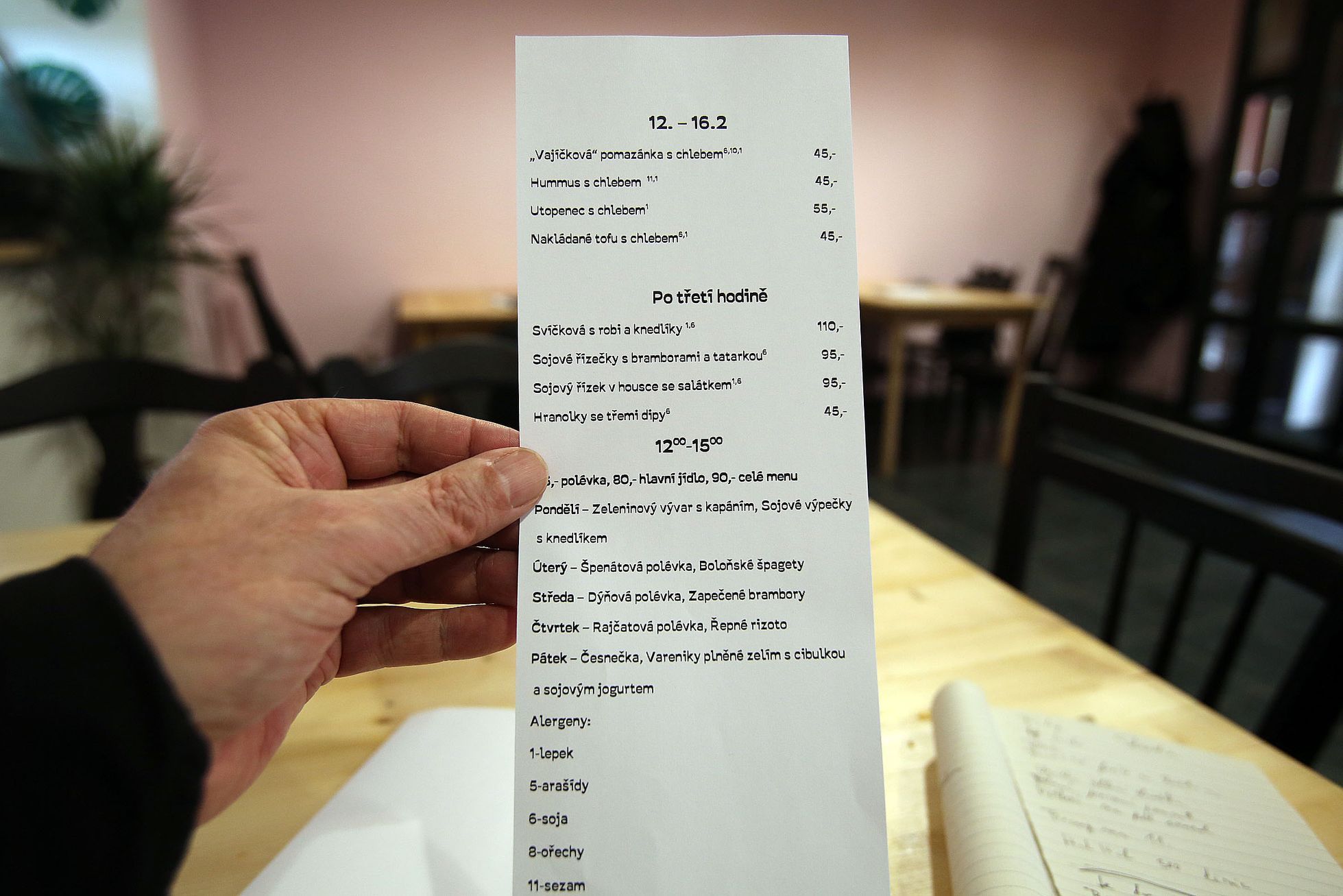 Sociální bistro Střecha