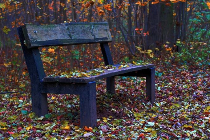 Lavička u Přelouče. Narazil jsem na ni při podzimní procházce. Lavička sice moc lákala k sezení, ale s brečícím mimčem jsem zvládl pouze udělat foto a pospíchat dále za obědem.