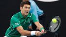 Novak Djokovič v semifinálovém utkání Australian Open 2020