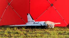 Polsko, Ukrajina, Rusko, válka, útok, dron, NATO, Czosnówka, Wyryki