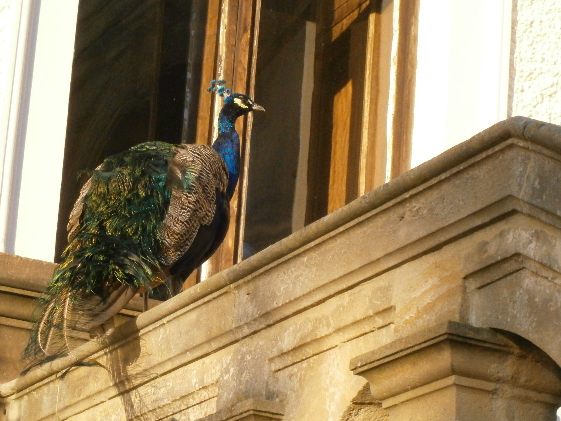 Fotosoutěž: Můj podzim - evavasku