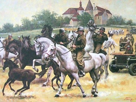 Co až dorazí hladoví Rusové? Vzácné koně z Hostouně zachránili Pattonovi muži